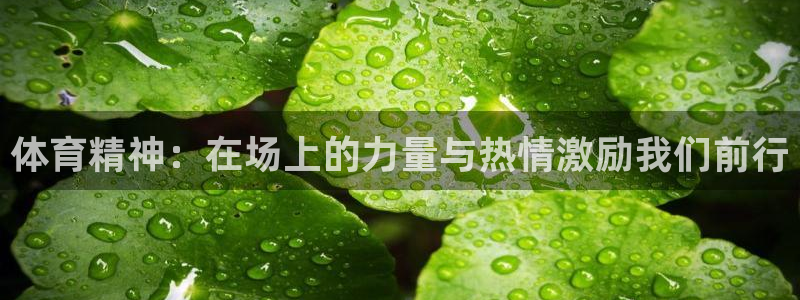 钢结构xc代表什么意思