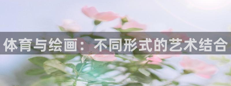 xc是女性哪里的简称