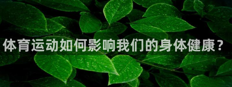 杏彩xc3平台注册：体育运动如何影响我们的身体健康？