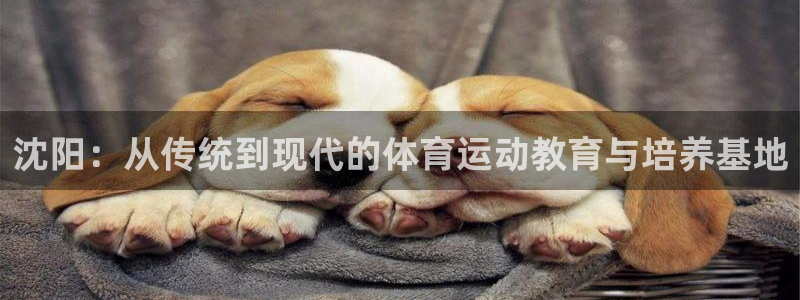 xc是哪个部位图片：沈阳：从传统到现代的体育运动教育与培养基地
