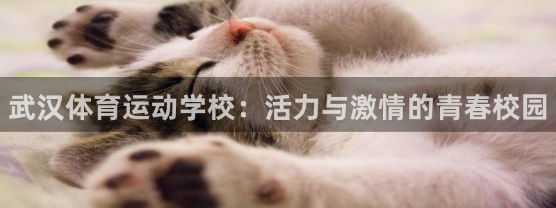 xc是什么材质：武汉体育运动学校：活力与激情的青春校园