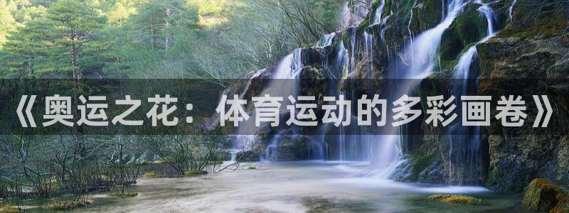 2026xc90：《奥运之花：体育运动的多彩画卷》