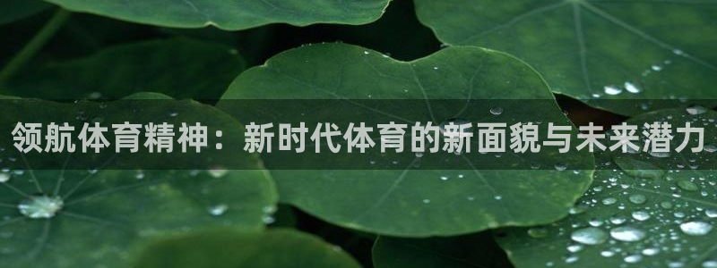 老婆的xc是什么：领航体育精神：新时代体育的新面貌与未来潜力