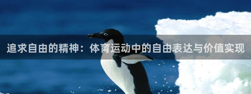 xc业务是什么意思：追求自由的精神：体育运动中的自由表达与价值实现