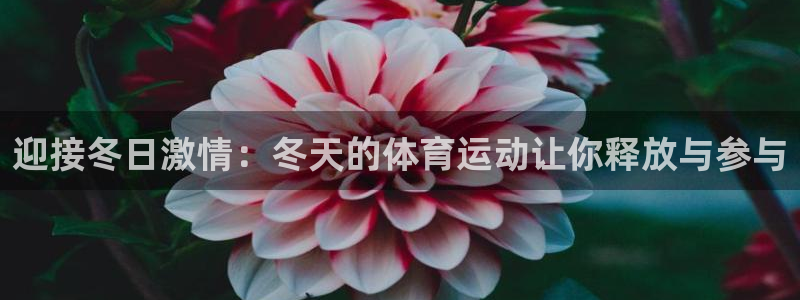 杏彩xc体育：迎接冬日激情：冬天的体育运动让你释放与参与