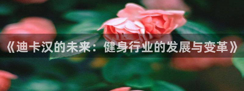 xc10：《迪卡汉的未来：健身行业的发展与变革》