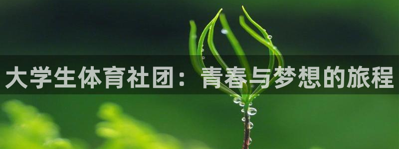 电容xc是什么意思：大学生体育社团：青春与梦想的旅程