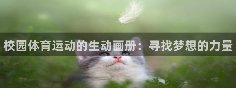 杏彩xc3代理：校园体育运动的生动画册：寻找梦想的力量