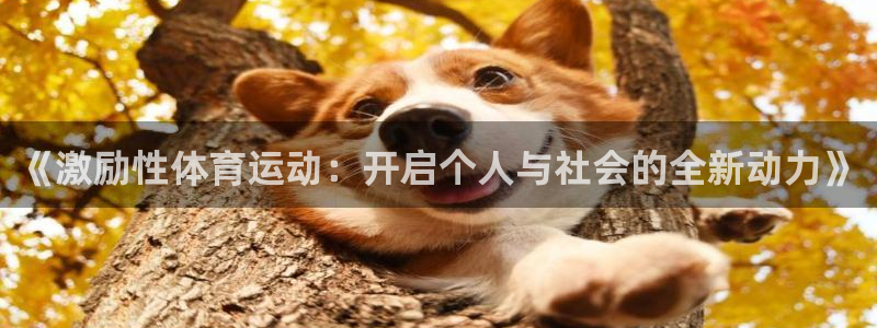 杏彩xc2代理注册：《激励性体育运动：开启个人与社会的全新动力》