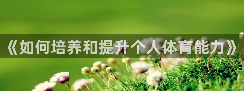 杏彩xc招商
