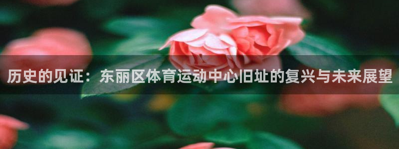 杏彩xc5招商