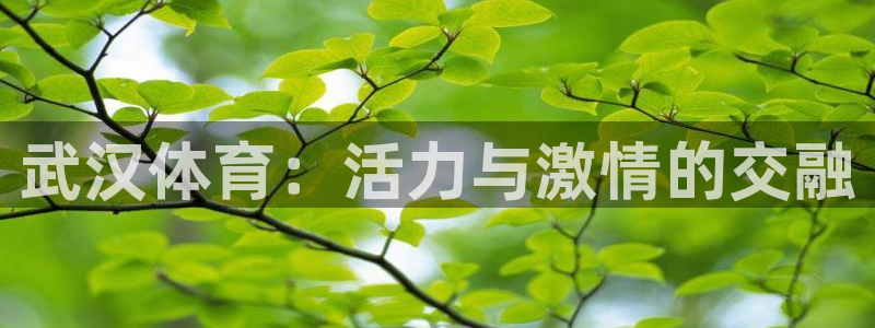 xc9：武汉体育：活力与激情的交融