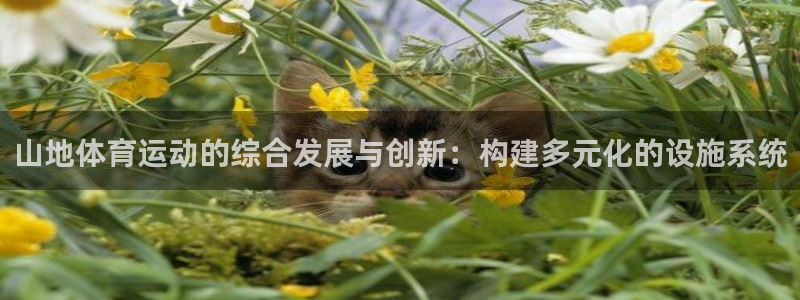 杏彩xc2平台：山地体育运动的综合发展与创新：构建多元化的设施系统