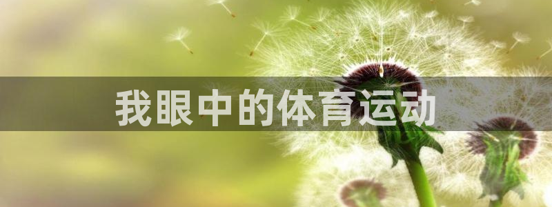 xc是什么缩写：我眼中的体育运动