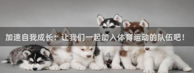 xc是什么材质：加速自我成长：让我们一起加入体育运动的队伍吧！