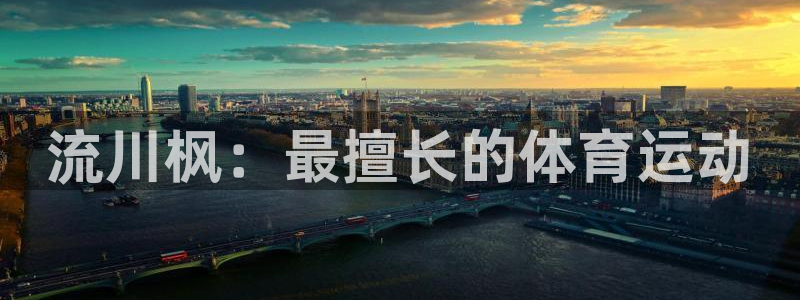 ns150xc参数：流川枫：最擅长的体育运动