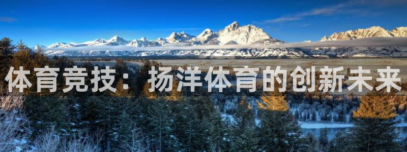 杏彩体育：体育竞技：扬洋体育的创新未来